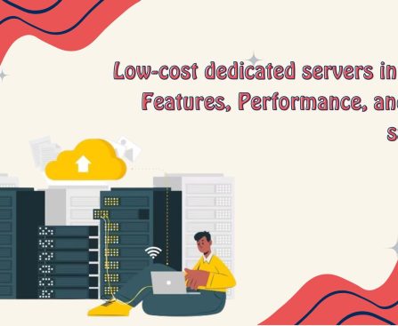 Low-cost dedicated servers in India Features, Performance, and Cost savings
