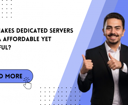 What Makes Dedicated Servers in India Affordable Yet Powerful
